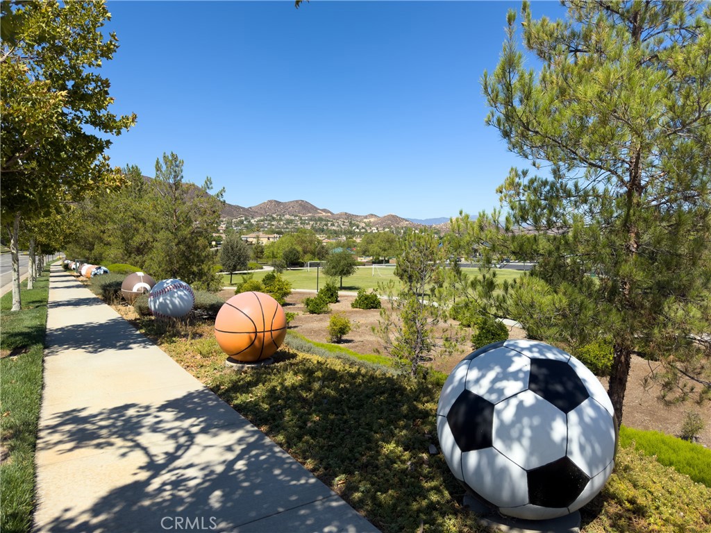 31934 Hollyhock Street