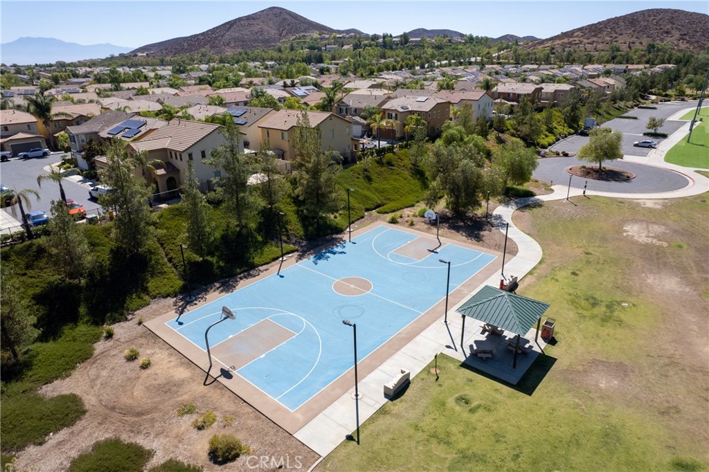 31934 Hollyhock Street