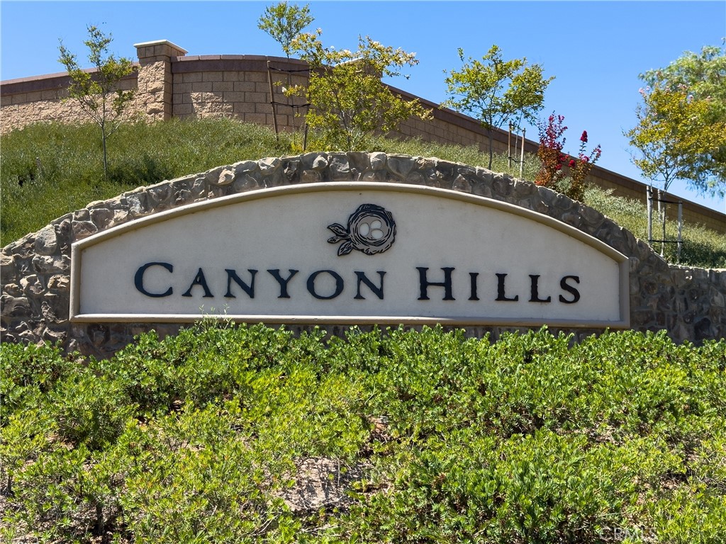 31934 Hollyhock Street