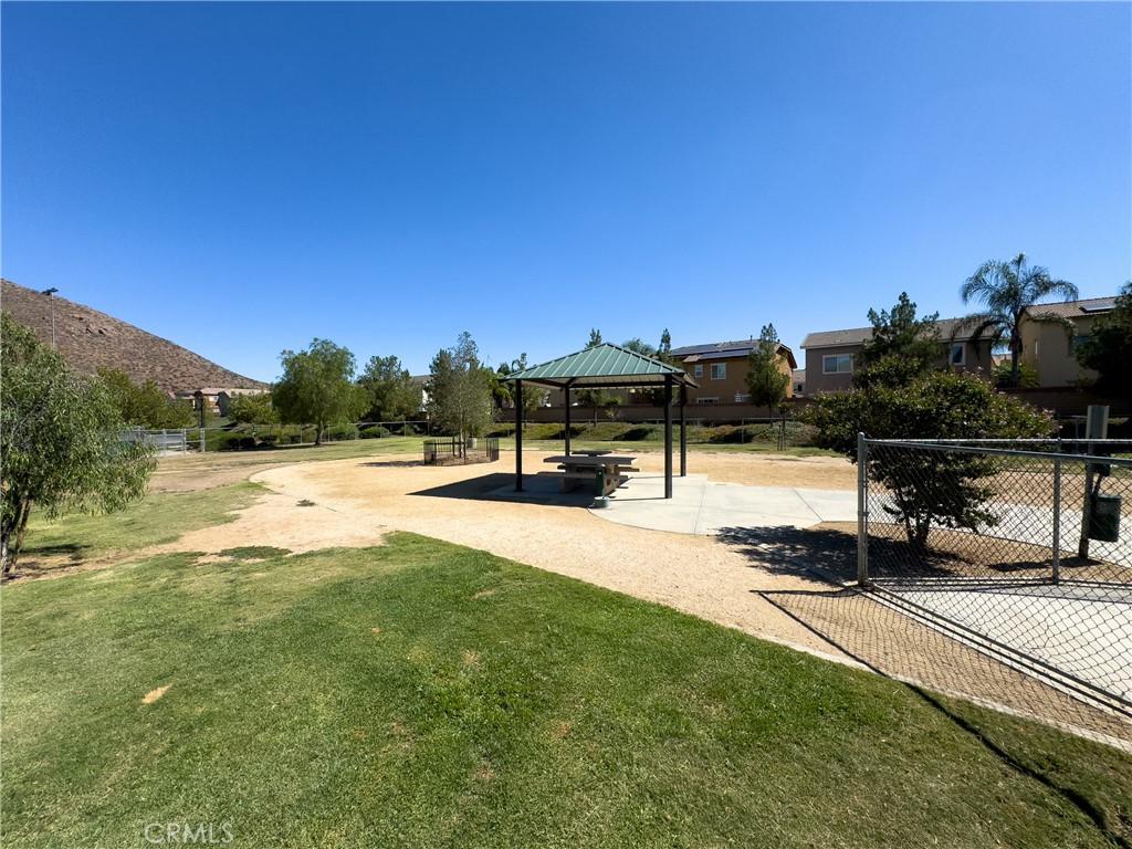 31934 Hollyhock Street