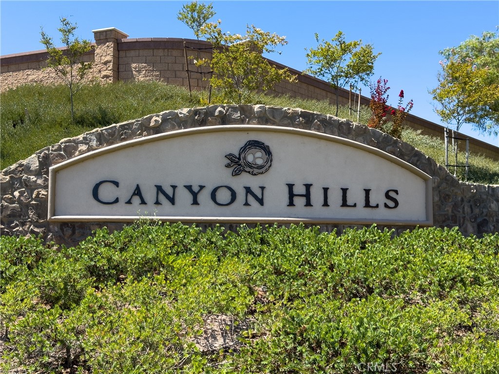 31934 Hollyhock Street