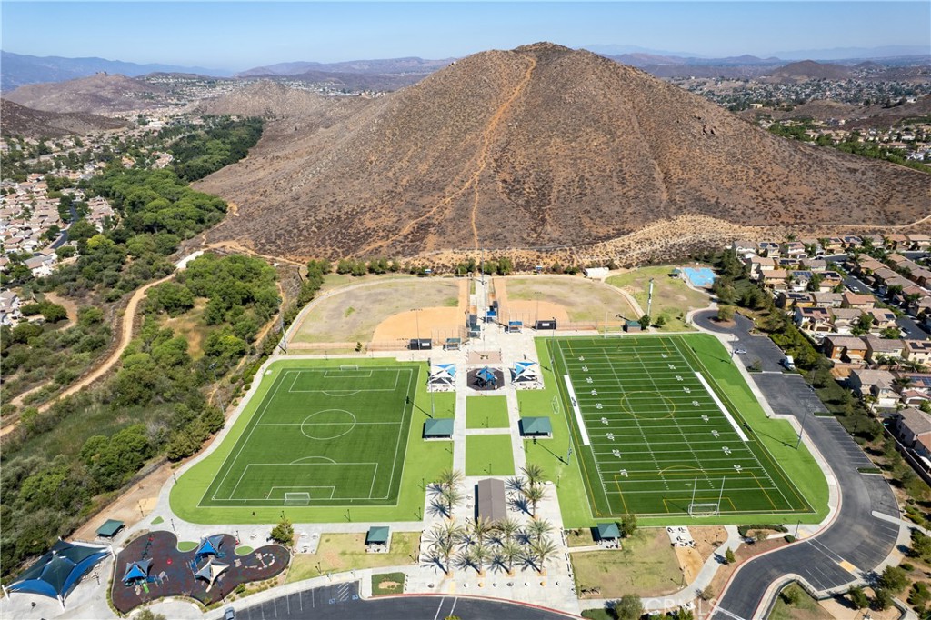 31934 Hollyhock Street