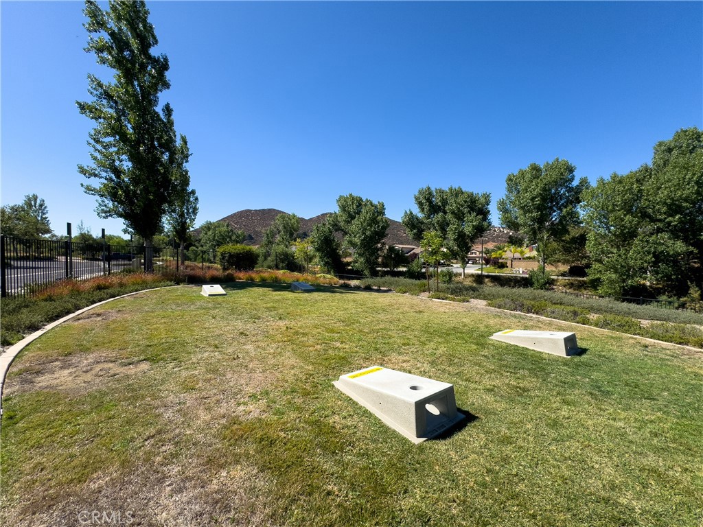 31934 Hollyhock Street