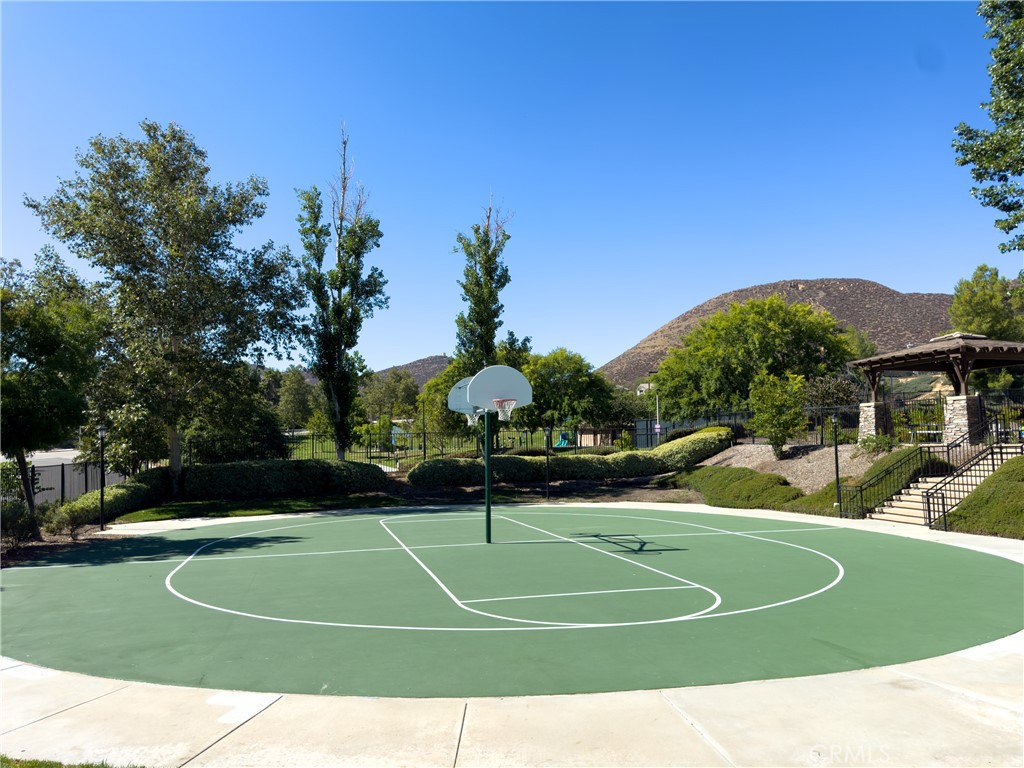 31934 Hollyhock Street