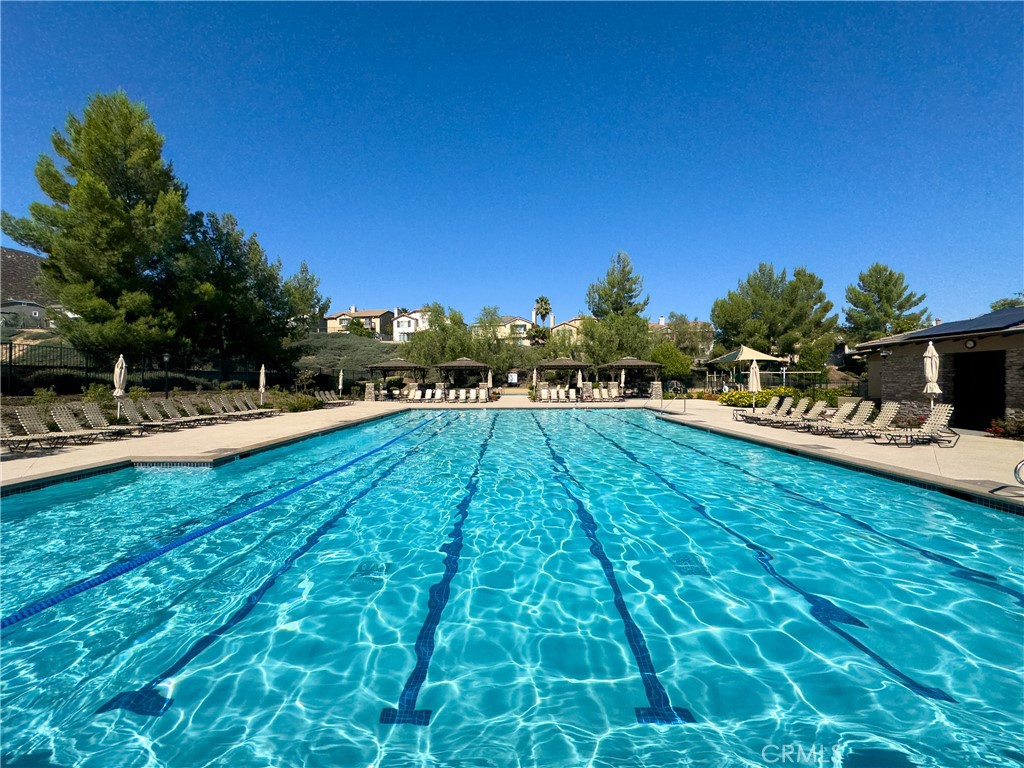 31934 Hollyhock Street