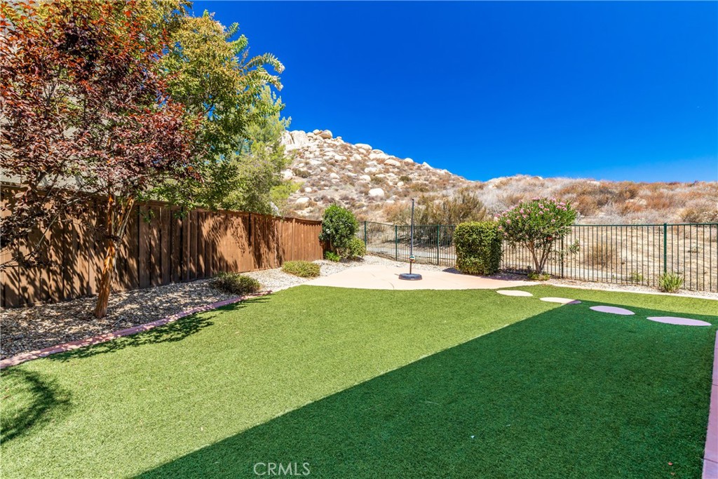 31934 Hollyhock Street