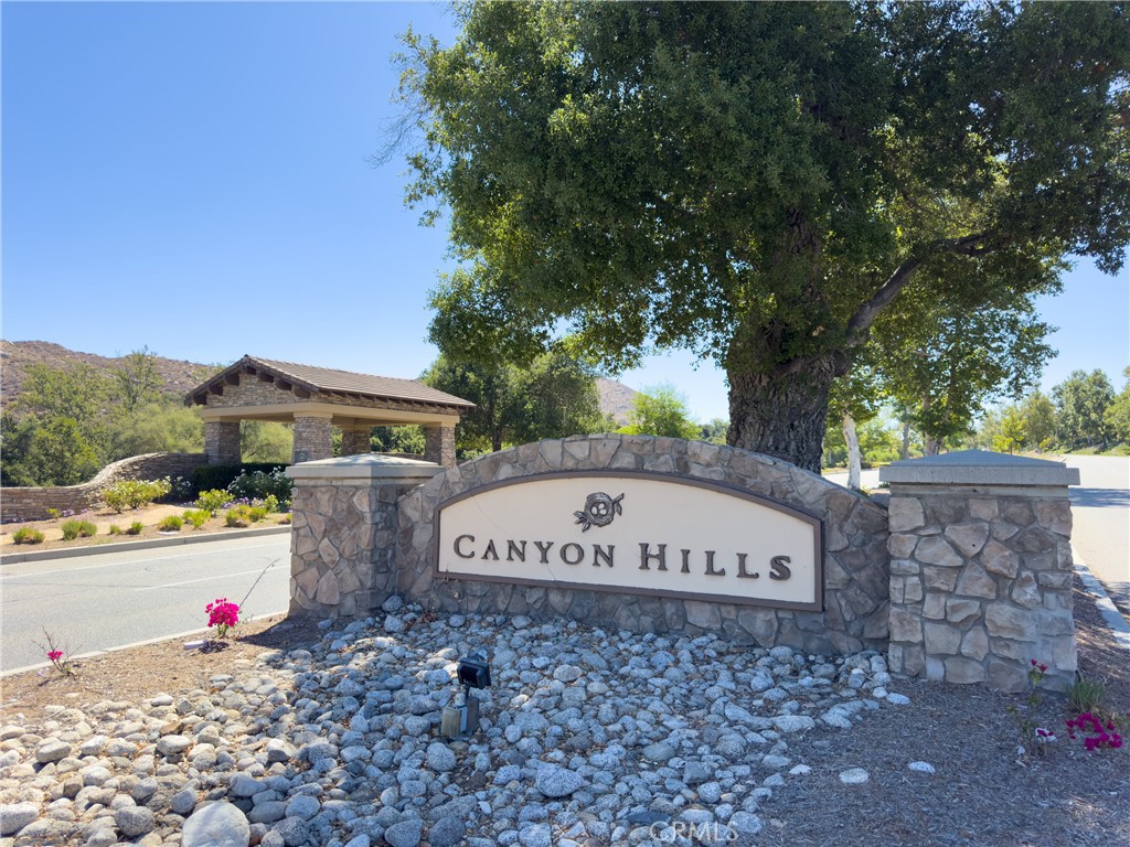 31934 Hollyhock Street