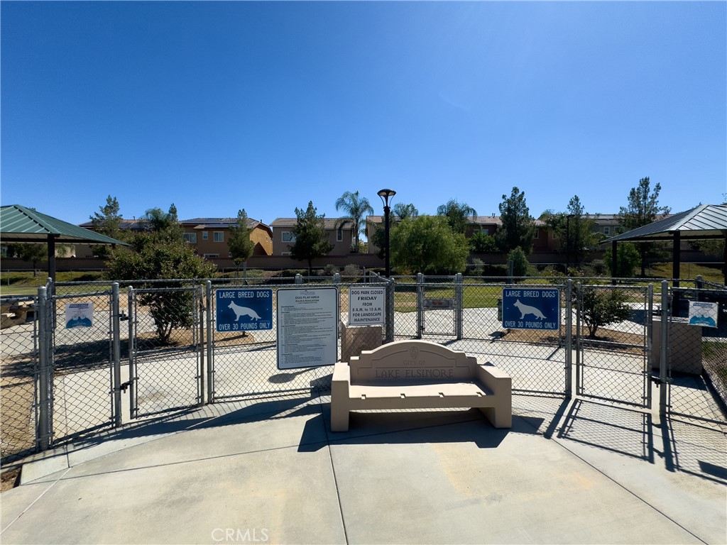 31934 Hollyhock Street