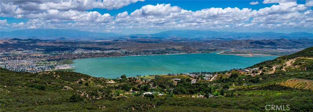 31934 Hollyhock Street