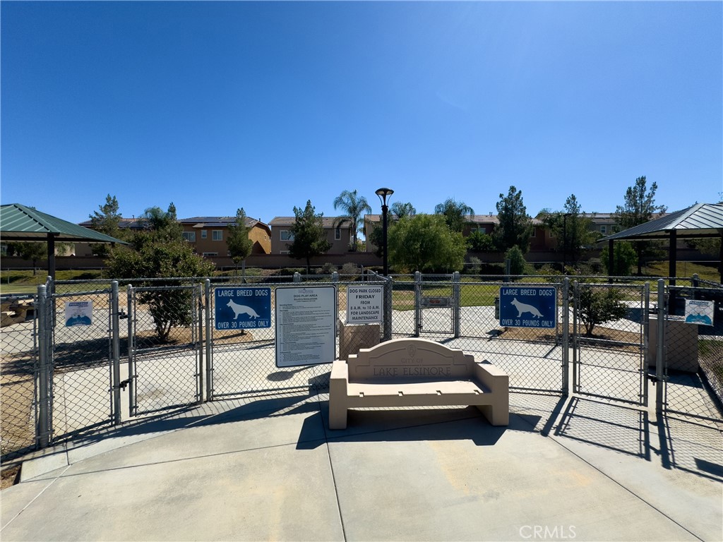 31934 Hollyhock Street