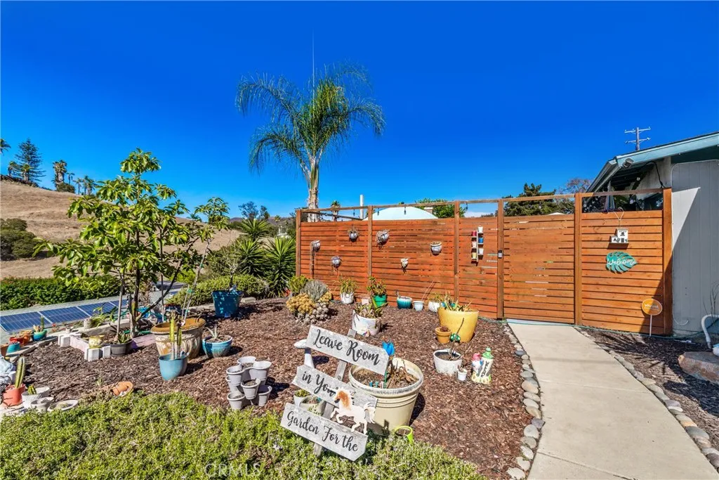254 Lobelia Drive