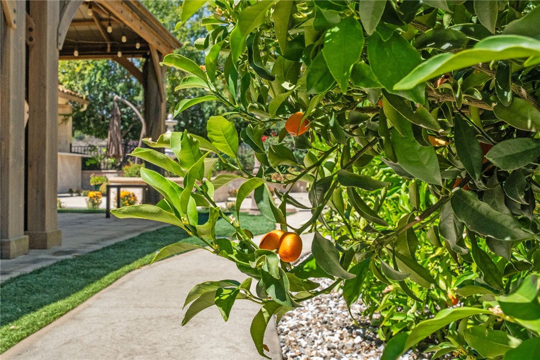 42779 Via Bolero Road