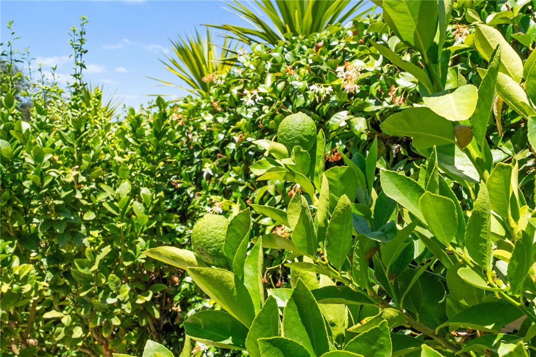 42779 Via Bolero Road