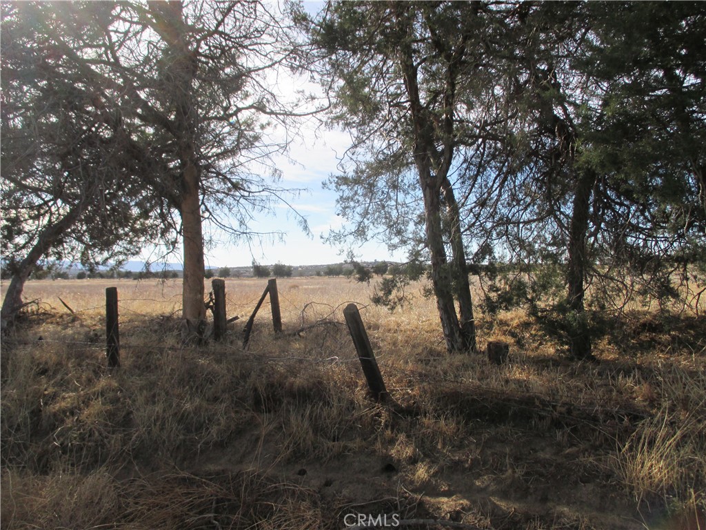0 Highway 371