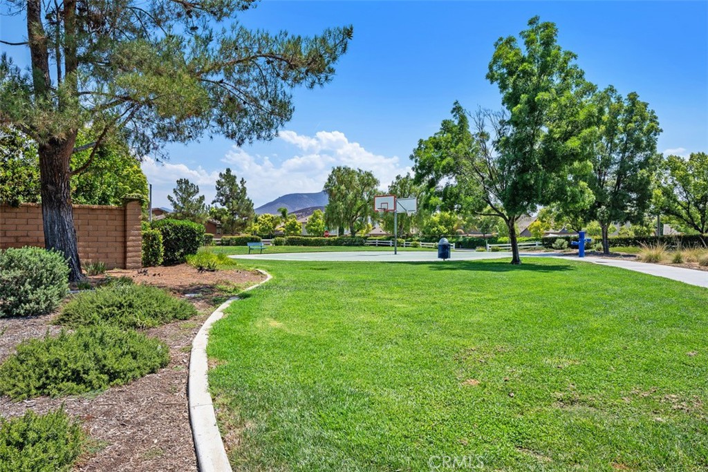 32051 Clear Springs Drive