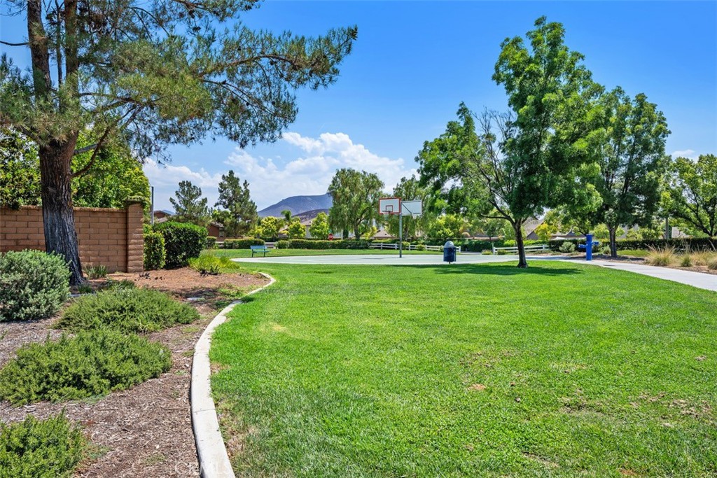 32051 Clear Springs Drive