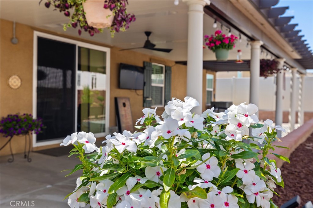 30310 Sunny Vista Street