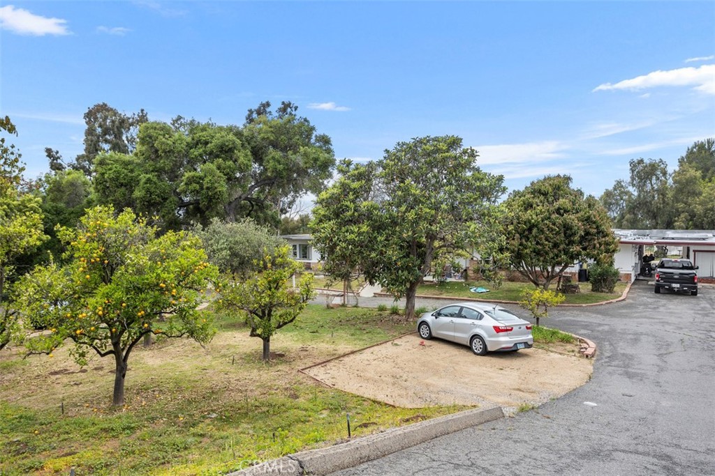 1840 Gum Tree Lane C