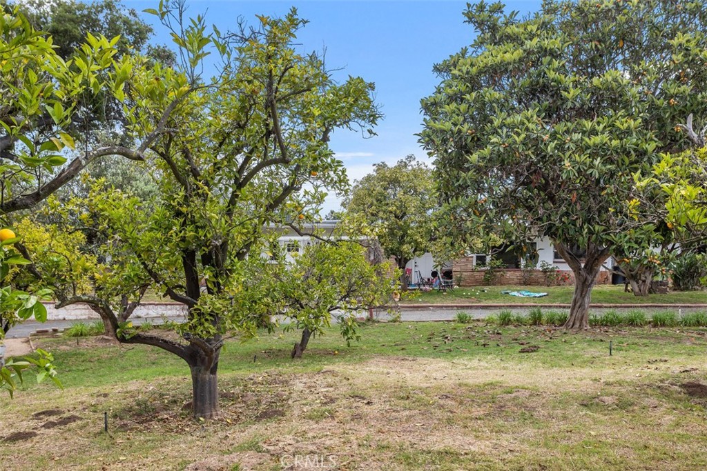 1840 Gum Tree Lane C