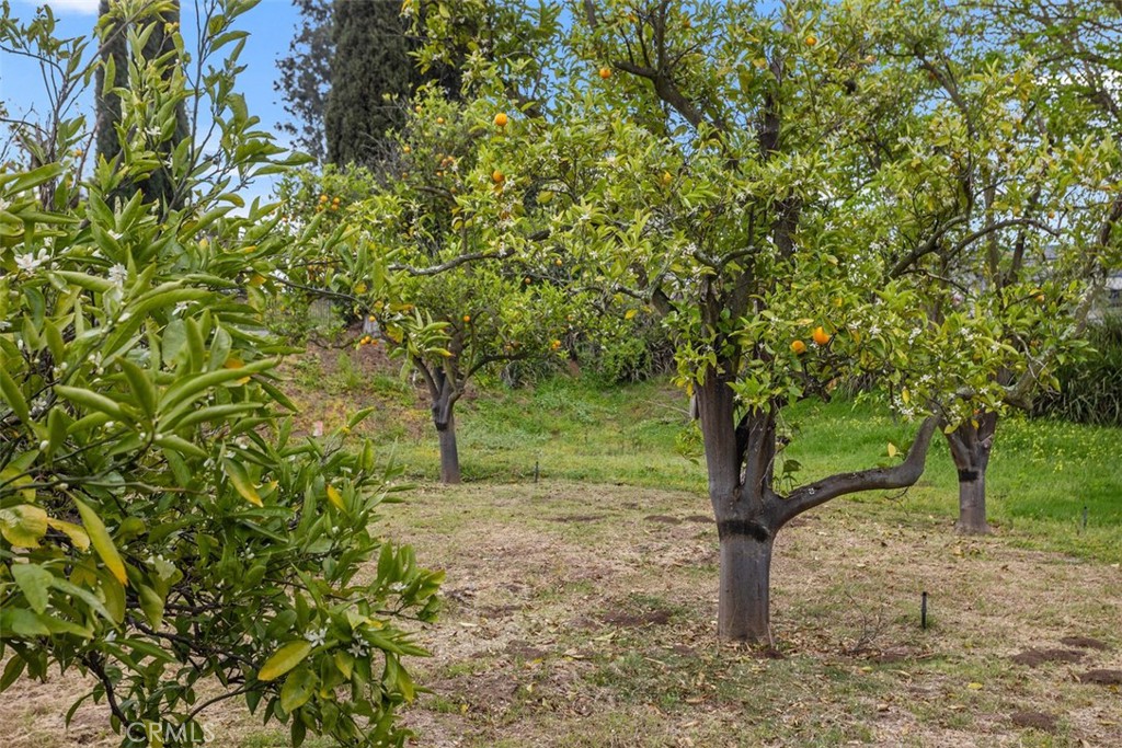 1840 Gum Tree Lane C