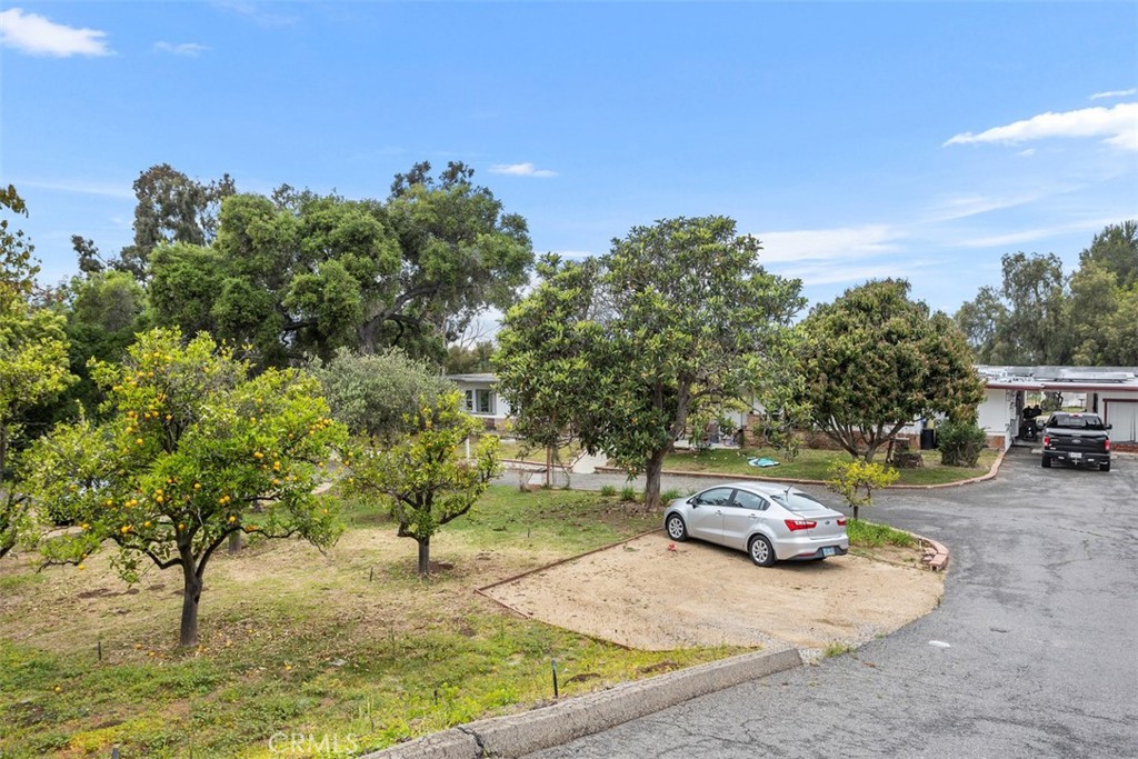 1840 Gum Tree Lane C