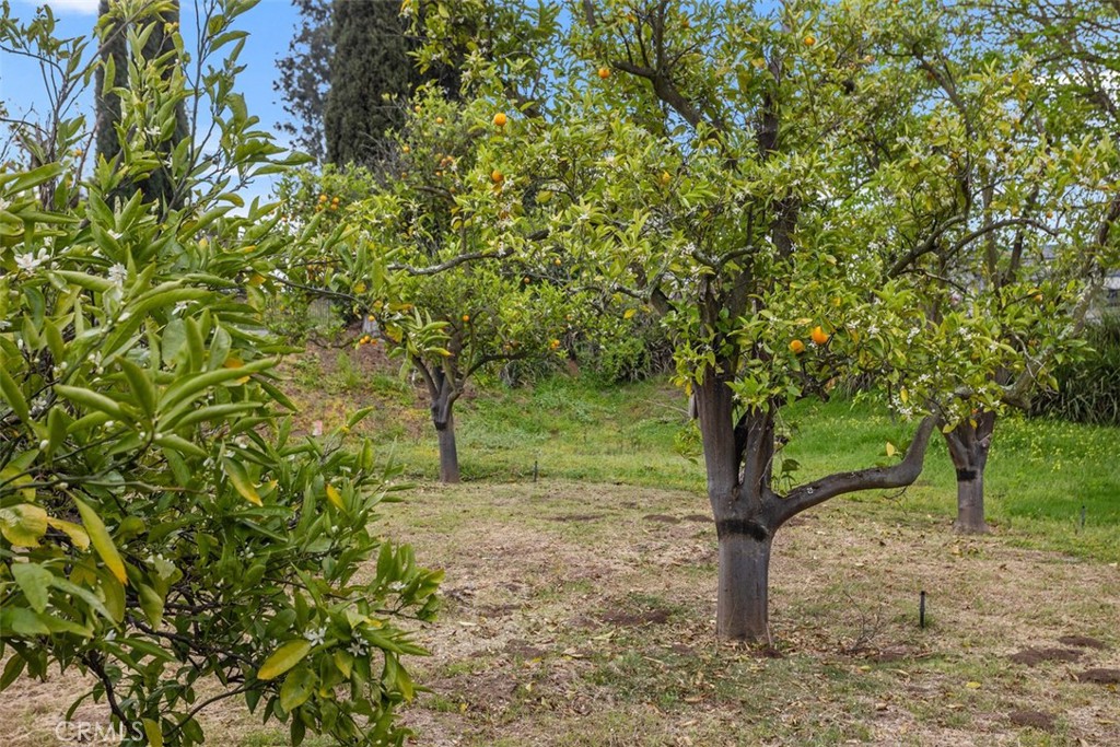 1840 Gum Tree Lane C