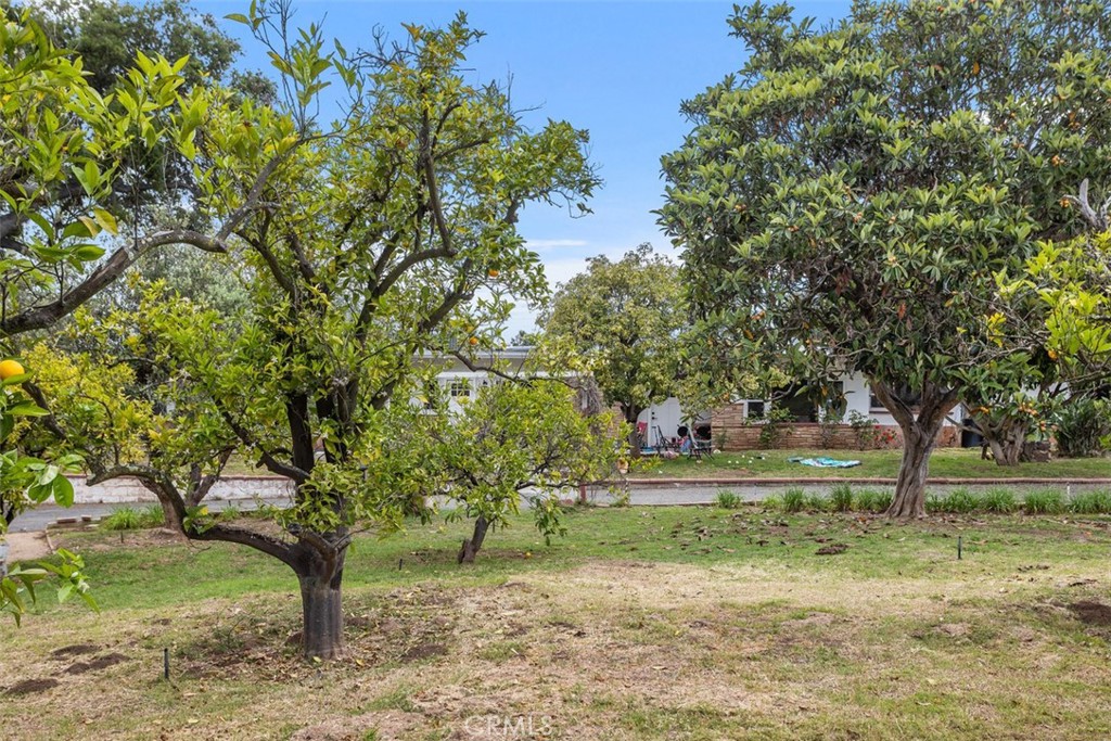 1840 Gum Tree Lane C