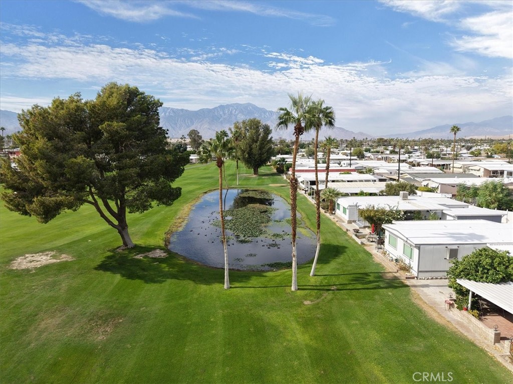 32617 Chiricahua Drive