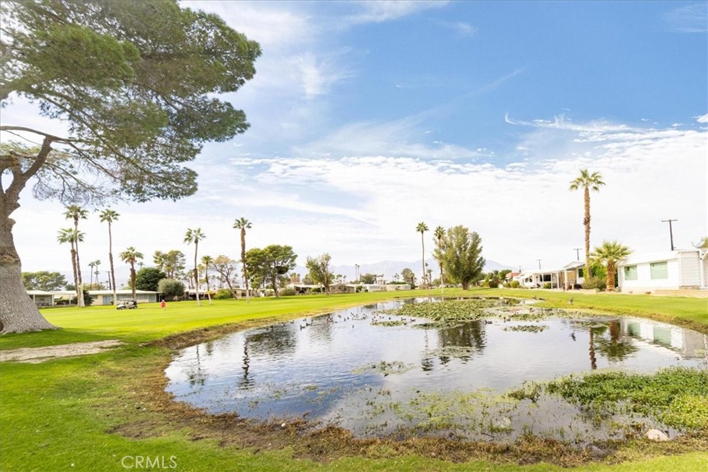 32617 Chiricahua Drive