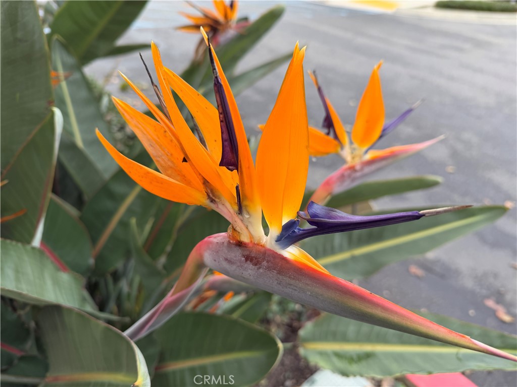 1540 W Artesia Square