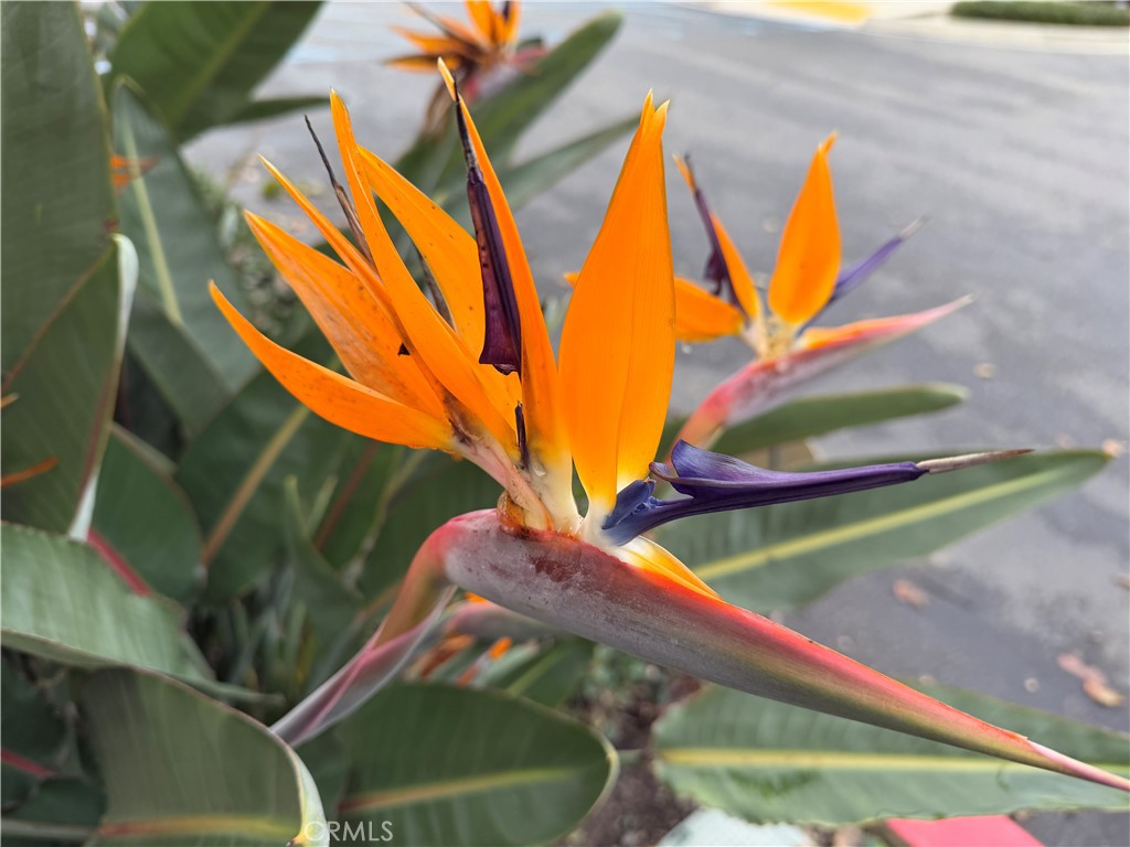 1540 W Artesia Square