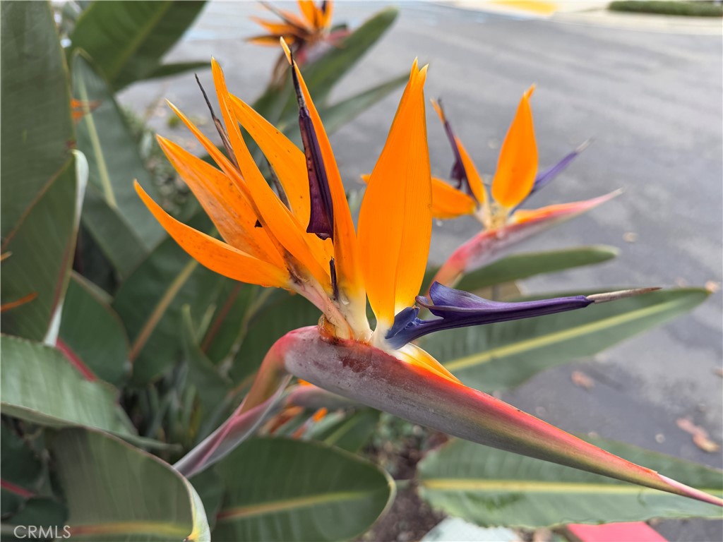 1540 W Artesia Square