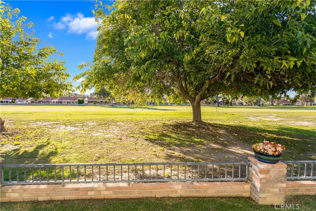 1361 Lodgepole Drive