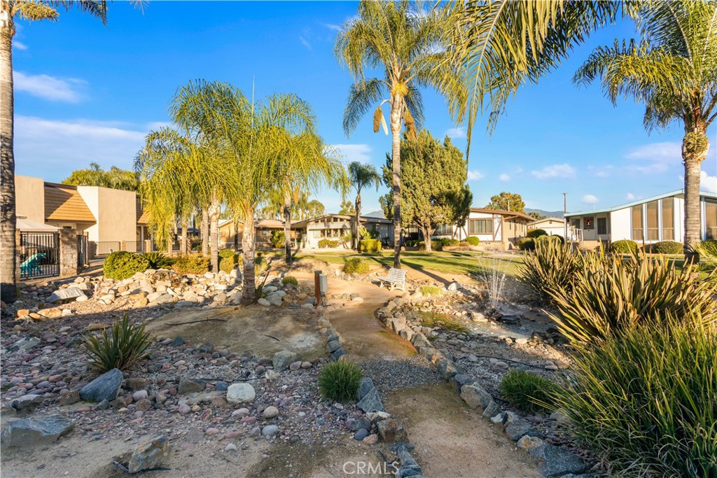 1361 Lodgepole Drive