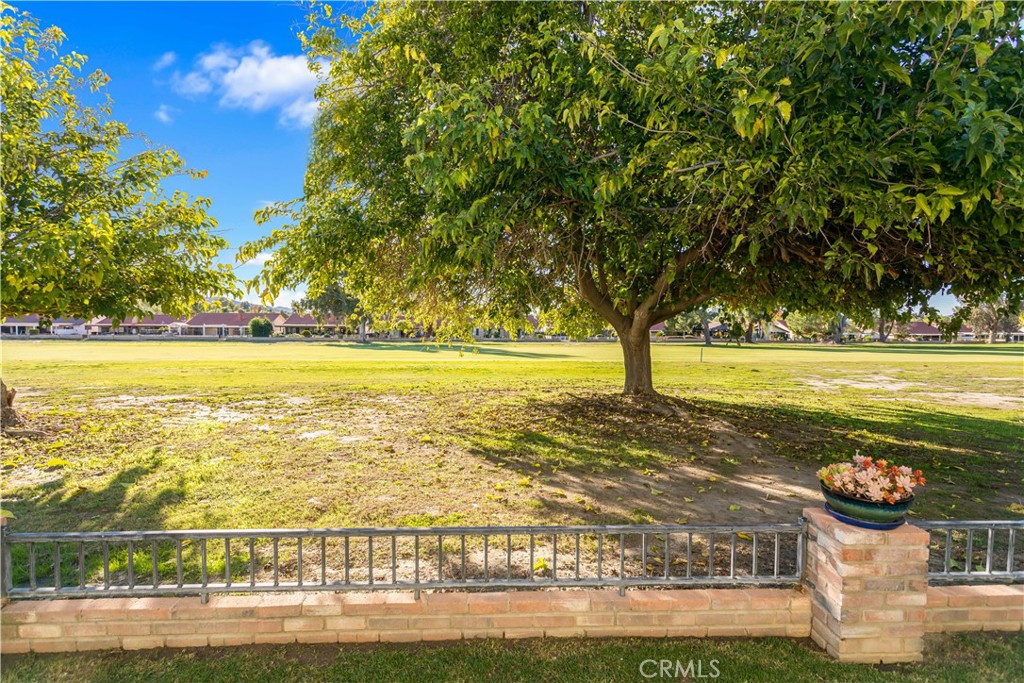 1361 Lodgepole Drive