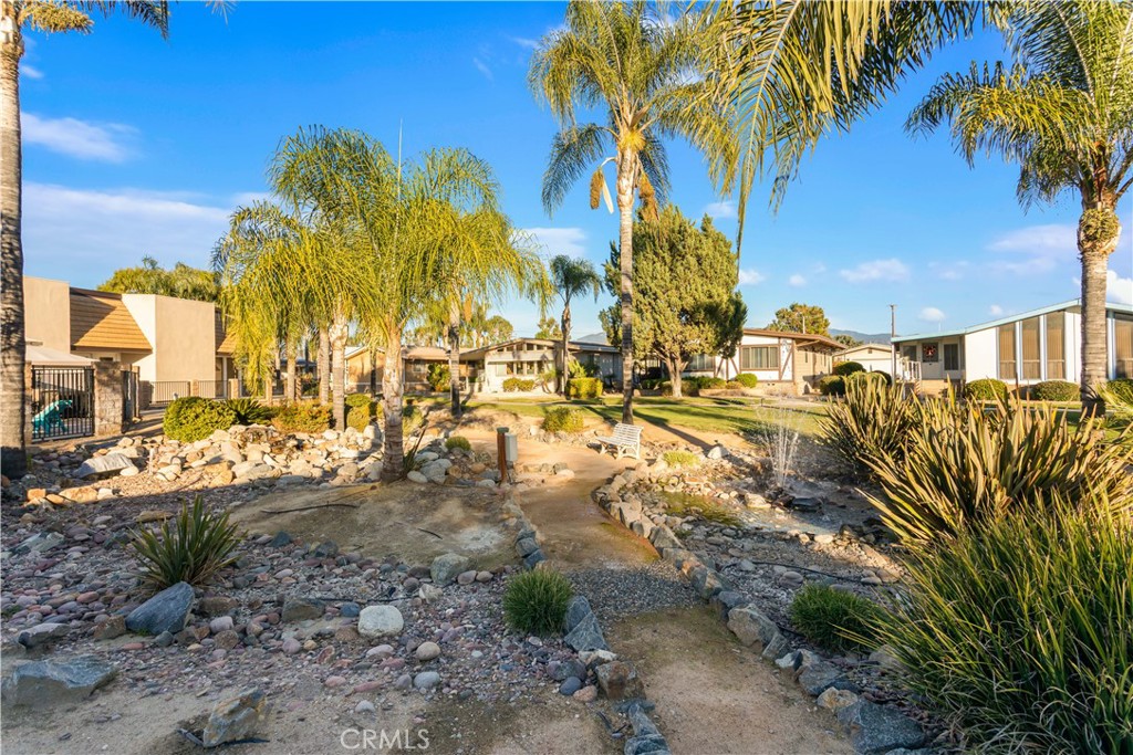 1361 Lodgepole Drive