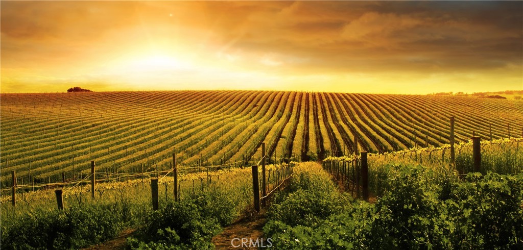 31598 Summerfield Lane