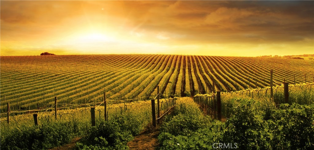 31598 Summerfield Lane