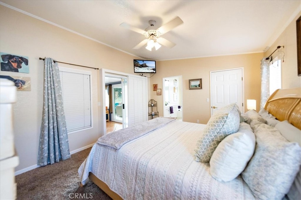 35493 Sand Rock