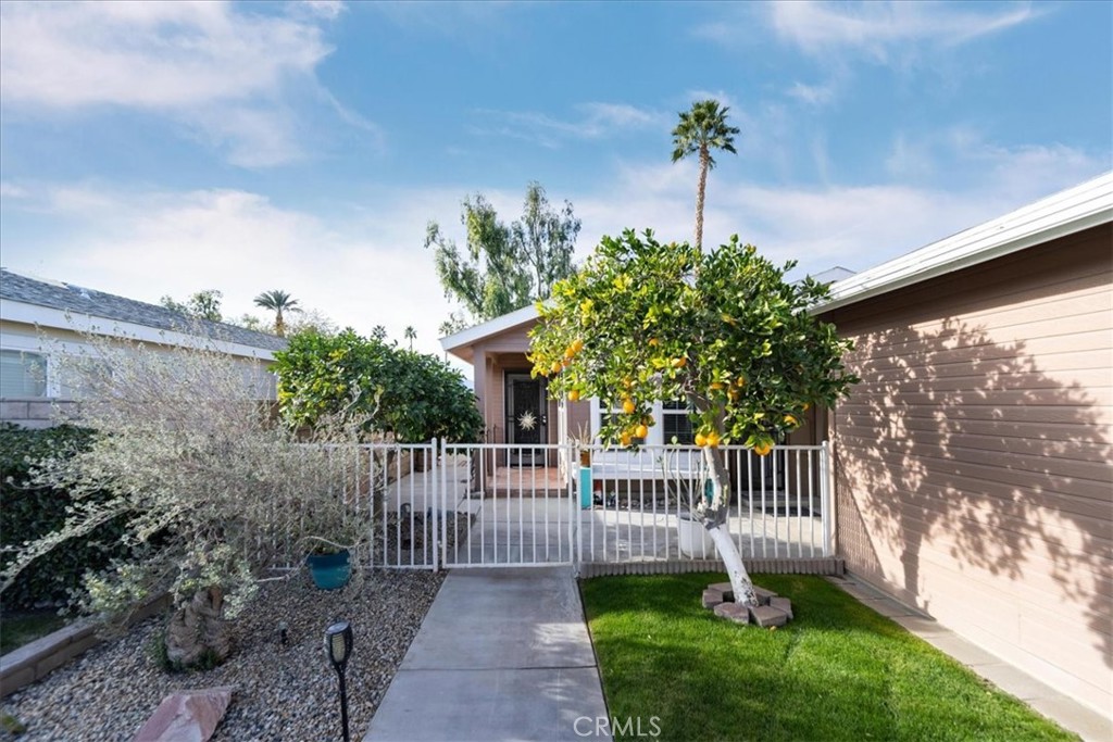 35493 Sand Rock