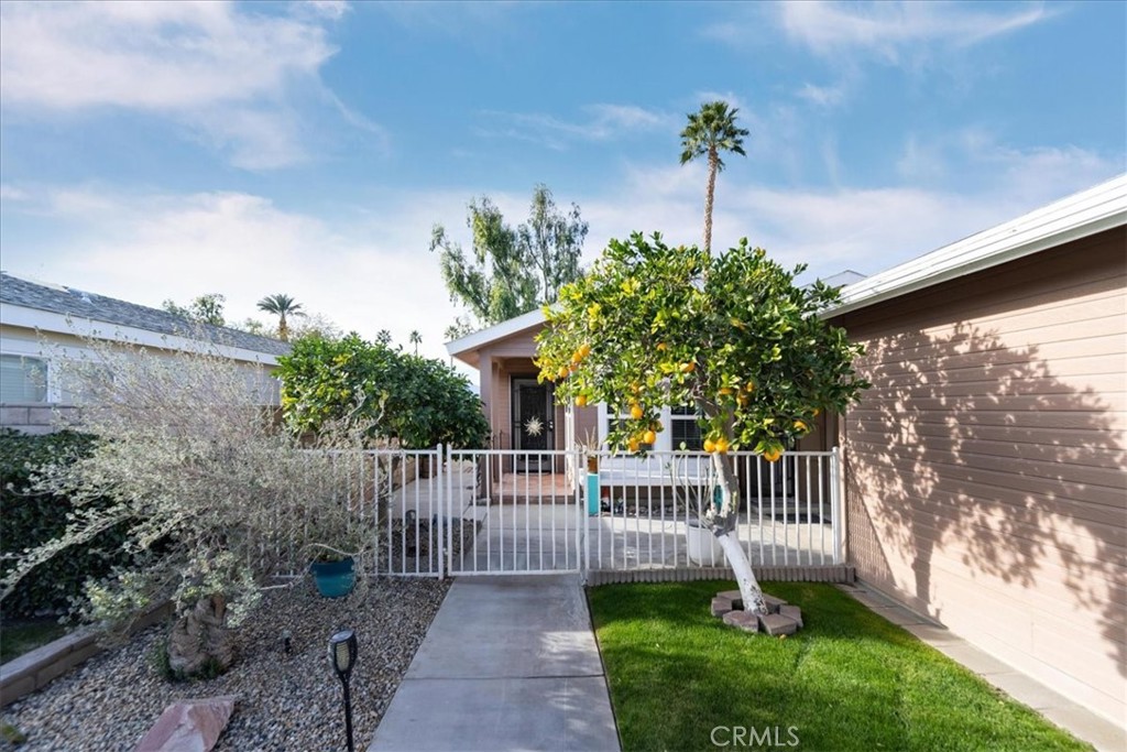 35493 Sand Rock