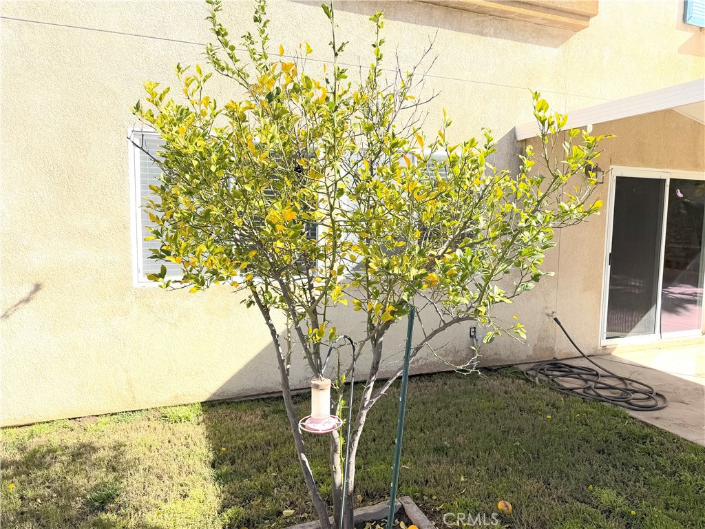 33843 Petunia Street