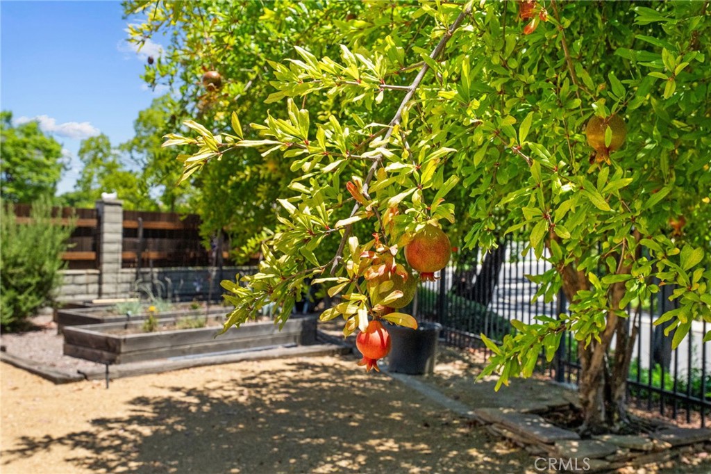 31475 Corte Mallorca