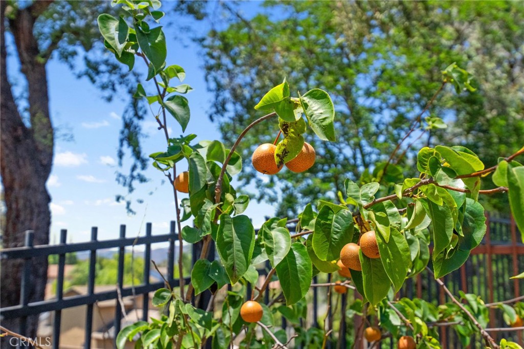 31475 Corte Mallorca