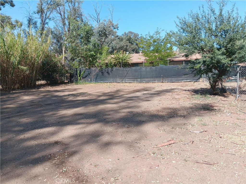 23390 Forrest