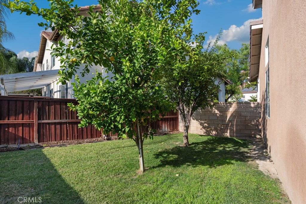 31371 Magnolia Point