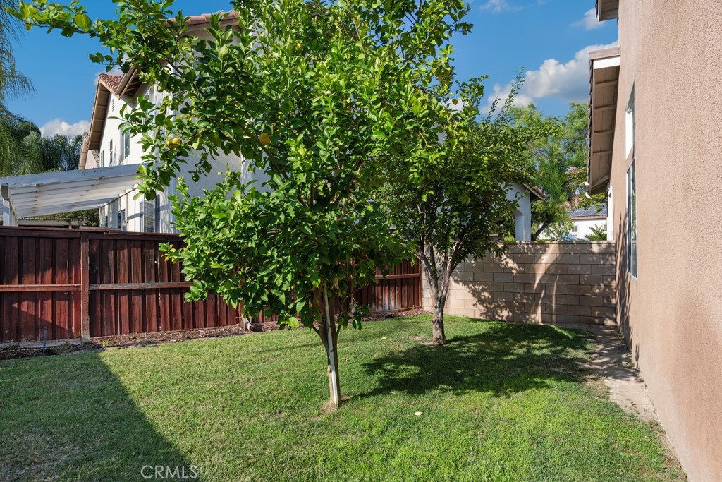 31371 Magnolia Point