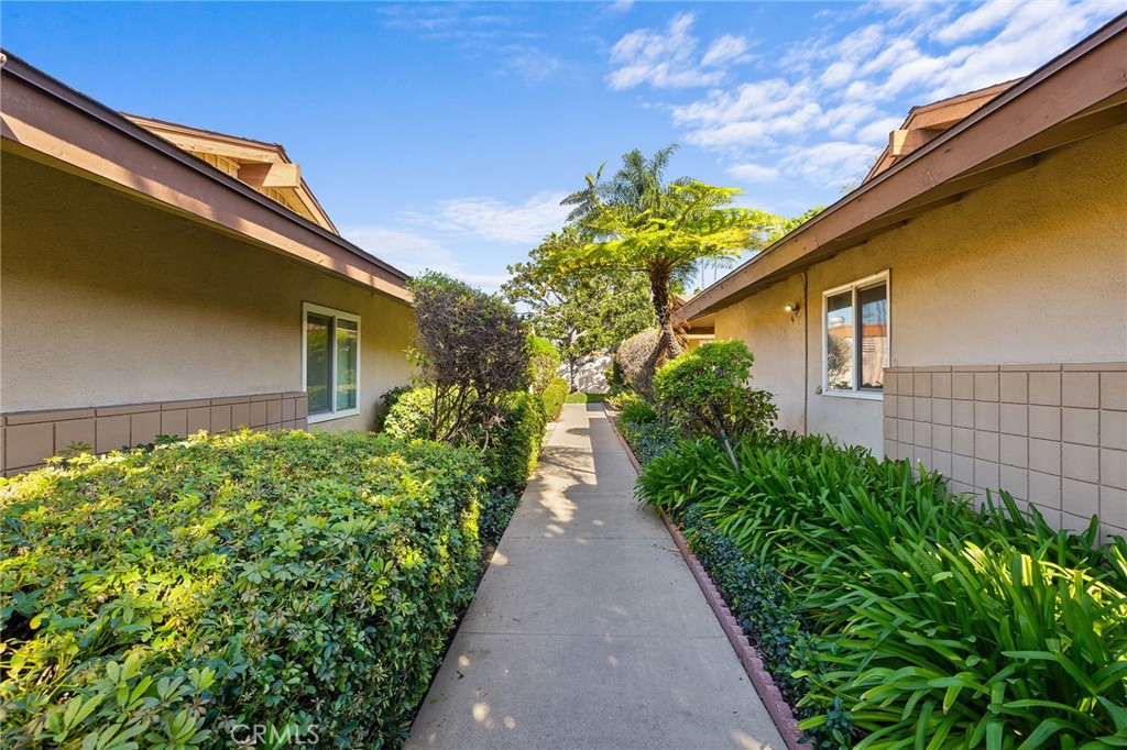 1740 E Commonwealth Avenue 101