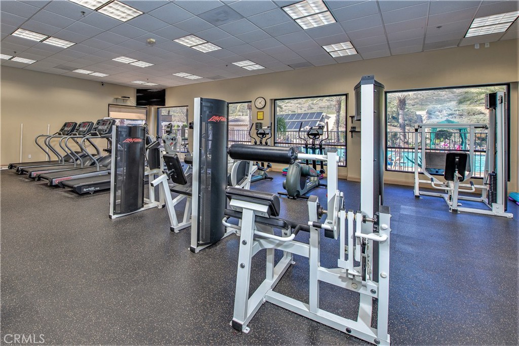 28658 Shady Brook Drive