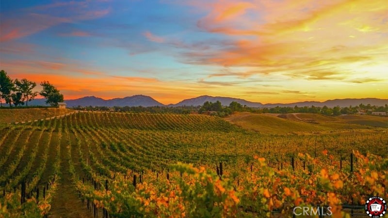 30354 Falcon Point Court